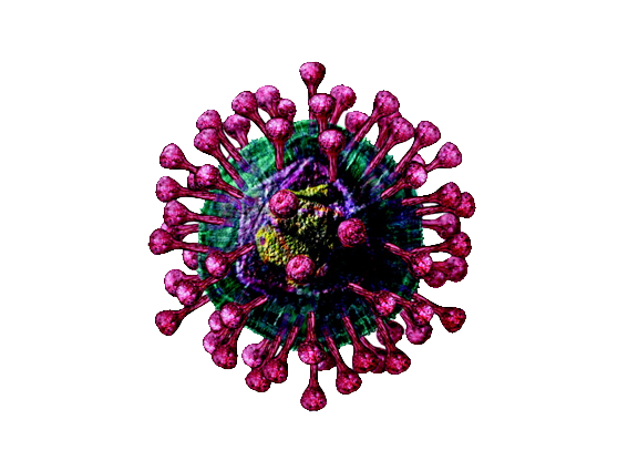 Pandémie Coronavirus Pandémie Coronavirus